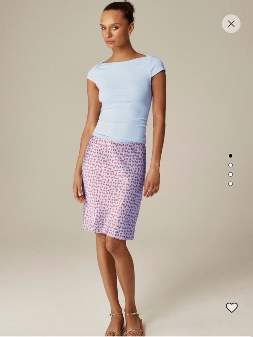 J. Crew Gwen Light Blue Skirt Red Daises